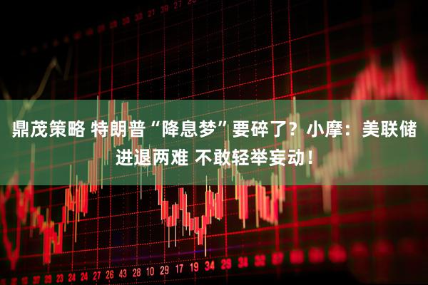 鼎茂策略 特朗普“降息梦”要碎了？小摩：美联储进退两难 不敢轻举妄动！