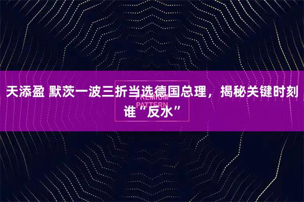 天添盈 默茨一波三折当选德国总理，揭秘关键时刻谁“反水”