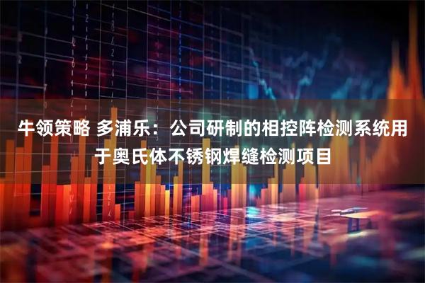 牛领策略 多浦乐：公司研制的相控阵检测系统用于奥氏体不锈钢焊缝检测项目
