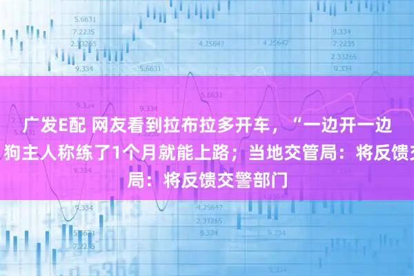 广发E配 网友看到拉布拉多开车，“一边开一边狂吠”，狗主人称练了1个月就能上路；当地交管局：将反馈交警部门