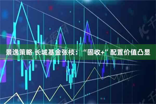 景逸策略 长城基金张棪:“固收+”配置价值凸显