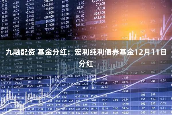 九融配资 基金分红：宏利纯利债券基金12月11日分红
