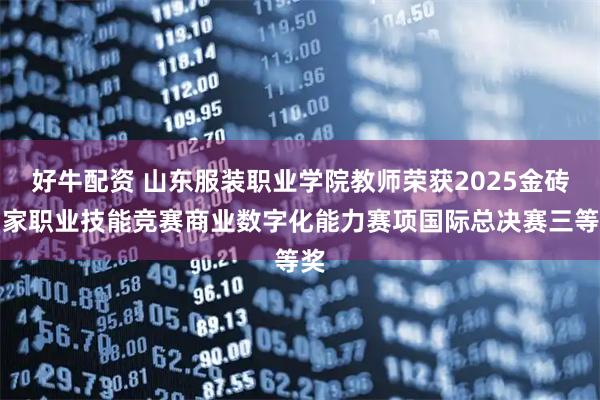 好牛配资 山东服装职业学院教师荣获2025金砖国家职业技能竞赛商业数字化能力赛项国际总决赛三等奖