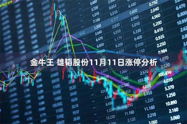 金牛王 雄韬股份11月11日涨停分析