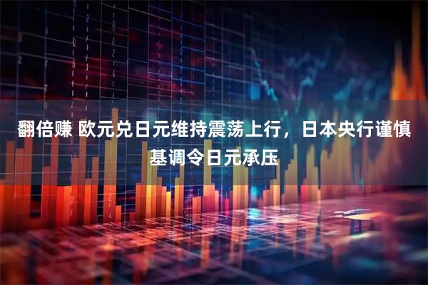 翻倍赚 欧元兑日元维持震荡上行,日本央行谨慎基调令日元承压