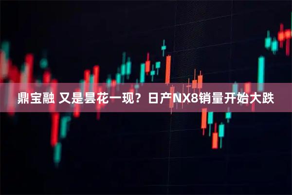 鼎宝融 又是昙花一现?日产NX8销量开始大跌